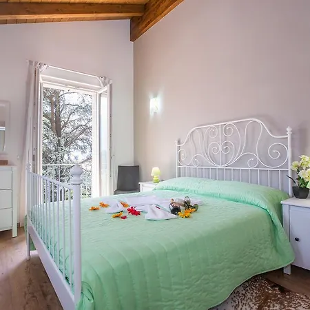 Dolcelago Nyaraló *